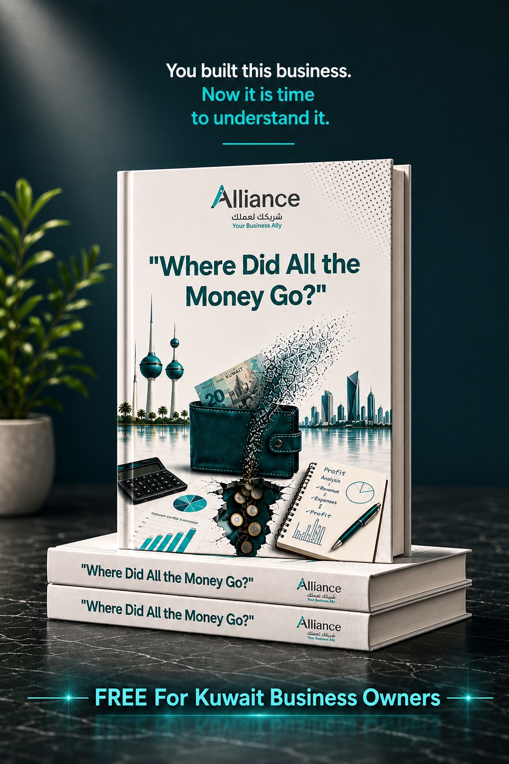 Where Did All The Money Go ebook cover